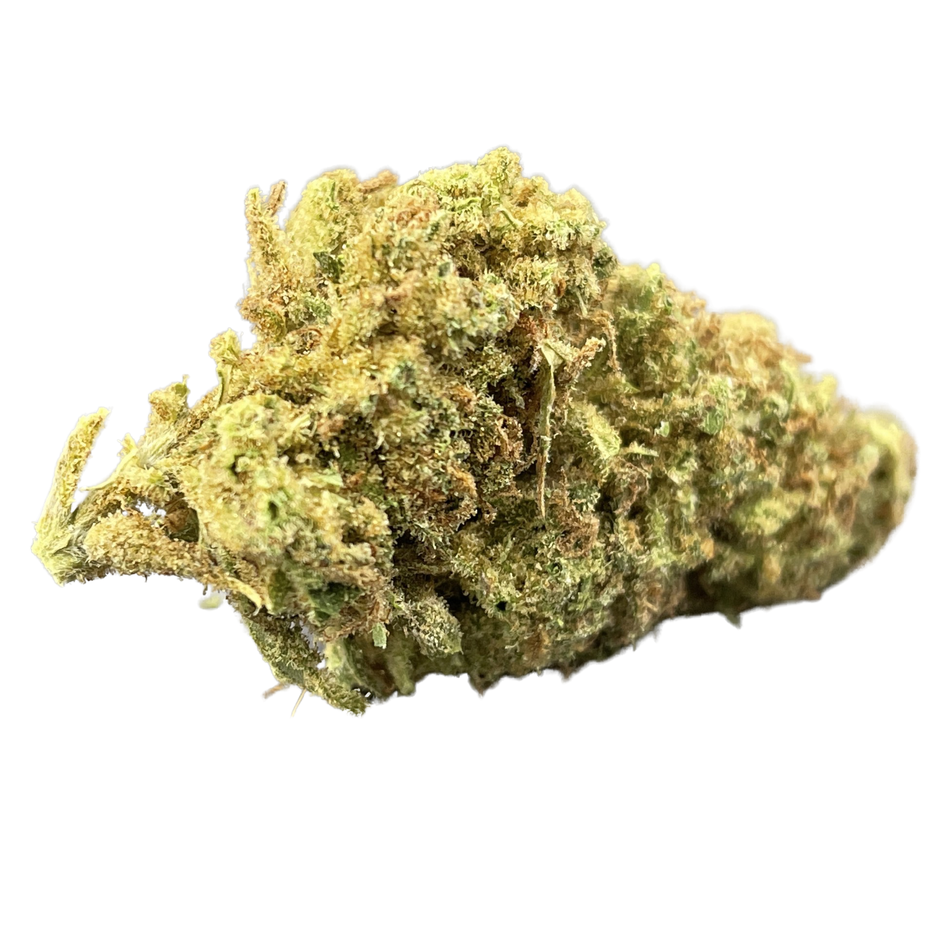 Whoopie Pie-Hybrid